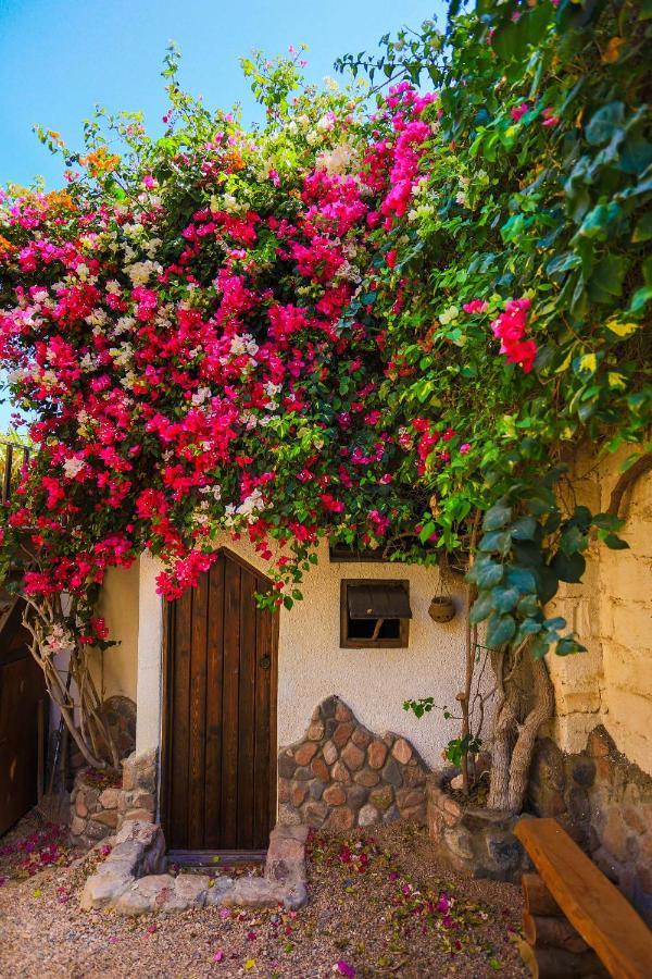 Beit Theresa * Dahab