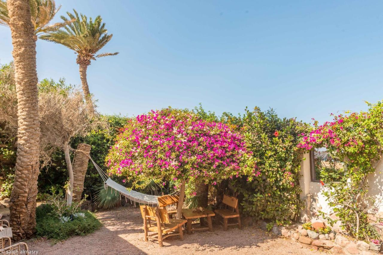Beit Theresa شاليه *